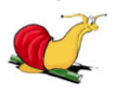 Schnecke